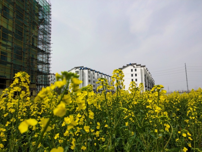 开年大吉！金建集团淮安市场连中两元