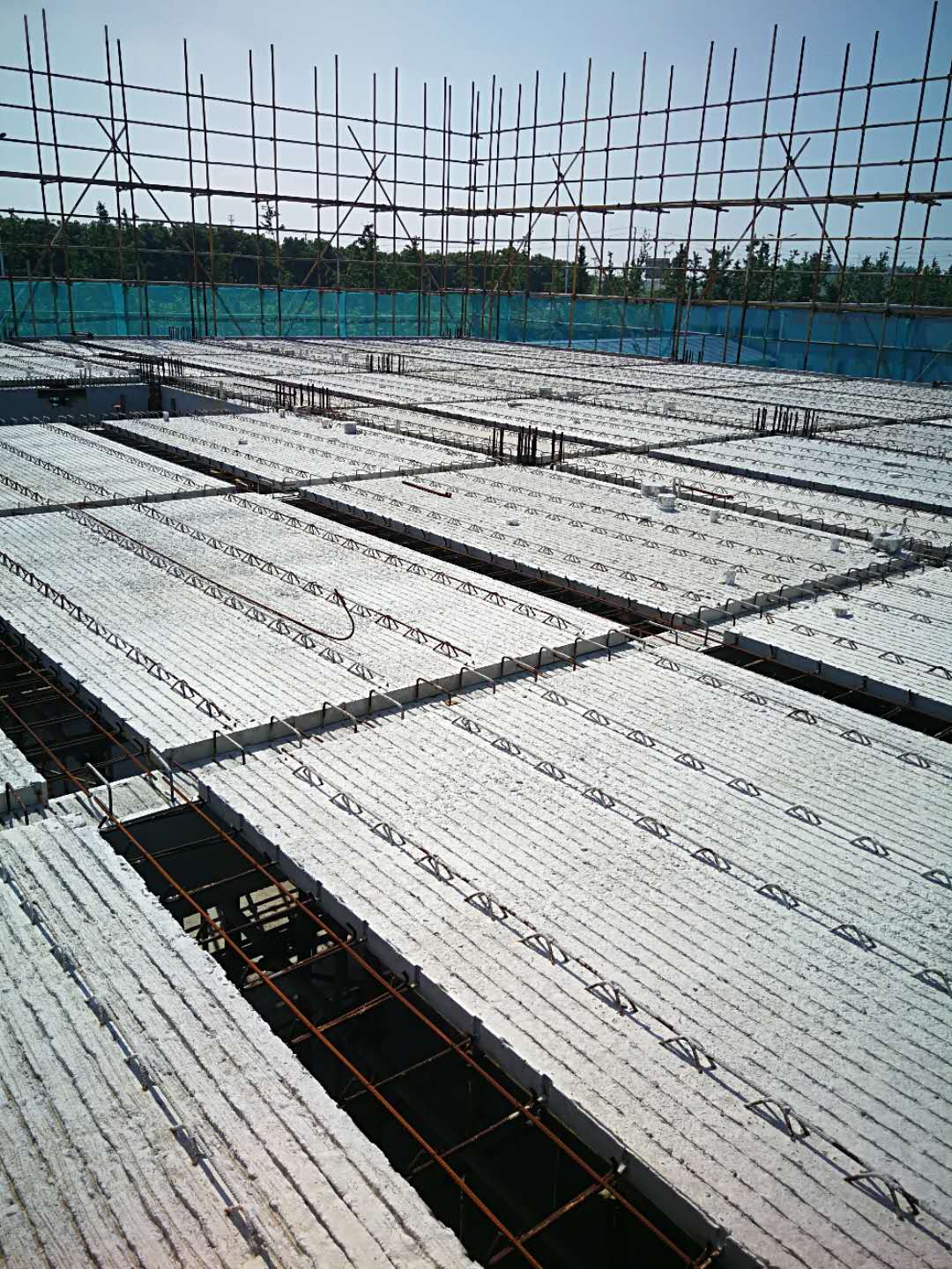 clip_image005.jpg